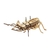 Insectos Para Armar Qiri Toys Escarabajo - comprar online