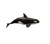 Orca