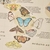 Mariposas del Mundo Mapoteca 85x65 - comprar online