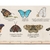 Mariposas del Mundo Mapoteca 85x65 en internet