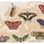 Mariposas del Mundo Mapoteca 85x65 en internet