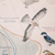 Mapa Migración De Aves Argentinas 46x65 cm - Adventurama