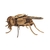 Insectos Para Armar Qiri Toys Mosca - comprar online