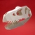 Craneo Tyranosaurus Rex Mesozoica Guardabosques- Blanco - comprar online
