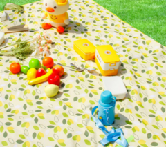 LONA PICNIC VALIJITA 2 X 2 METROS - comprar online