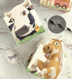 kit de cumpleaños decoración Zenón party printable candy box pdf