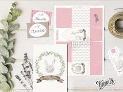 Imagen de Kit Imprimible Conejos de Pascua Rosa