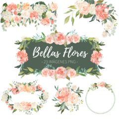 Bellas Flores - Kit imágenes PNG -