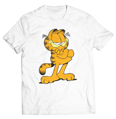 Garfield -2