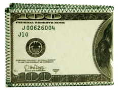 Billetera 100 Dólares en internet