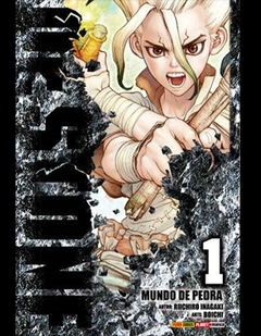 Dr Stone #01