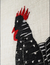 Cuadro bastidor black rooster - comprar online