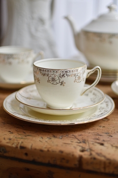 Trío de té de porcelana inglesa bone china Adderley (taza de té con plato y plato de postre)