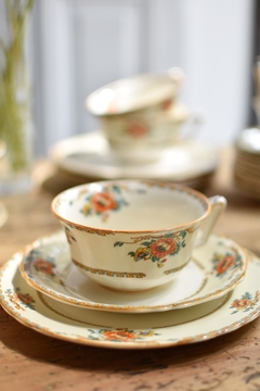 Trío de té de loza inglesa Alfred Meakin Osiris shape - comprar online