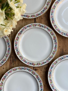 Set de 6 platos playos de porcelana francesa Limoges 23,5 cm