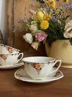 Taza de té con plato de loza inglesa Alfred Meakin