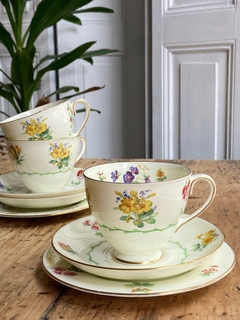 Trío de té de porcelana inglesa Royal Doulton (taza de té con plato y plato de postre 17 cm)