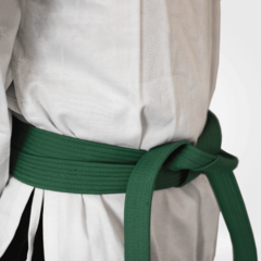 Faixa Taekwondo | Karate | Kickboxing - comprar online