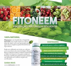 FITONEEM - 150ML Fracionado - Inseticida e Fungicida Natural importado da Índia - PARAFLOR