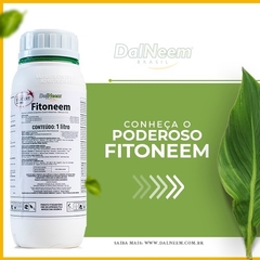 Fitoneem 1 L - Azadiractina 3000 ppm - comprar online