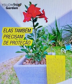 Yellow trap Mini Garden - com 5 armadilhas adesivas para captura insetos pragas voadores na internet