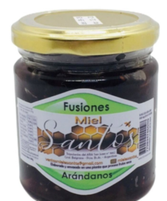 Miel Fusion de arandanos santos x 240 grs