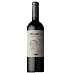 Puramun Cofermentado Malbec - Petit Verdot