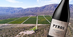 Pyros Vineyard Limestone Hill Malbec 2018 - Mejor Vino de Argentina Mundus Vini - comprar online