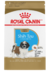 Royal Canin Shih Tzu Puppy 1.5 kg