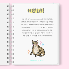 Cuaderno Gatitos rayado - comprar online