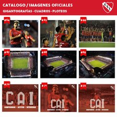 Cuadros Panorámicos Independiente - comprar online