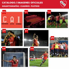 Cuadros Panorámicos Independiente en internet