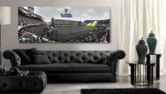 Cuadros Panorámicos Boca Juniors