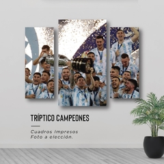 Cuadros Tripticos Irregulares Messi Copa America 2021 #42