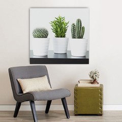 Cuadro "Cactus III" - comprar online