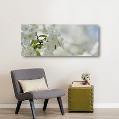 Panorámico "Camelias" - comprar online