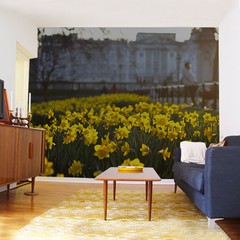 Gigantografía "Narcisos" en internet