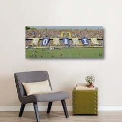 Cuadros Panorámicos Rosario Central - comprar online