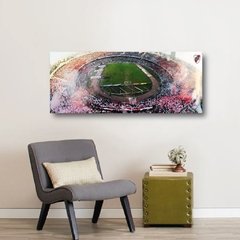 Cuadros Panoramicos River Plate - comprar online