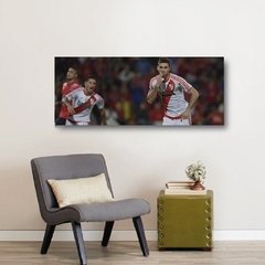 Cuadros Panoramicos River Plate - tienda online