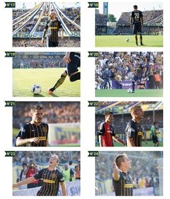 Cuadros Panorámicos Rosario Central en internet