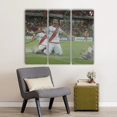 Cuadro Triptico River Plate