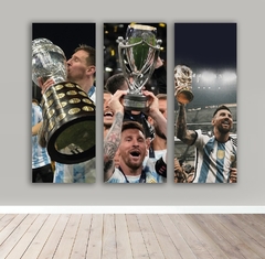 Cuadro triptico Argentina campeón mundial 2022, Messi copa /3 fotos