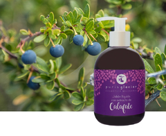 Set de 4 Productos antioxidantes con Extracto de CALAFATE - comprar online