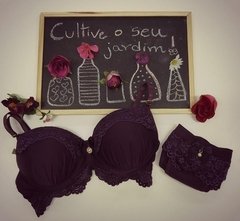 Lingerie sutiã soutien calcinha biquini