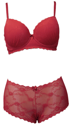 Lingerie sutiã caleçon