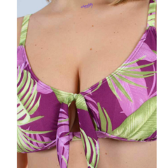 Corpiño Bikini Top Lara Follaje Chantilly Art 0120 en internet