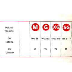 Imagen de Bombacha Sloggi Classic Maxi X2 Triumph