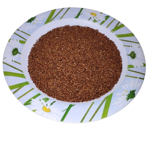 Semilla de quinoa roja x 500 Grs