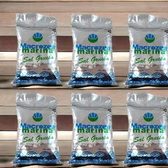 Sal marina gruesa x 500g MACROZEN (X 10 unidades) - comprar online